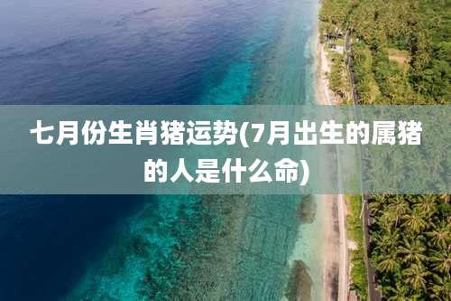 七月份生肖猪运势(7月出生的属猪的人是什么命)