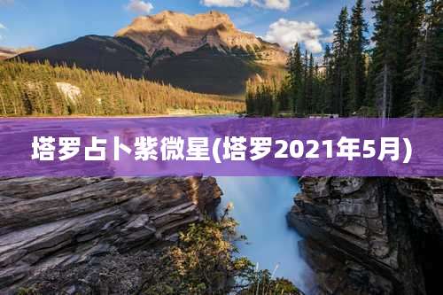 塔罗占卜紫微星(塔罗2021年5月)