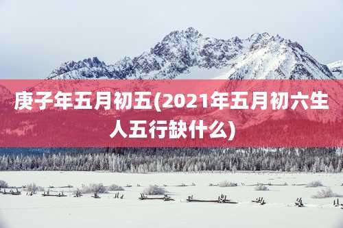 庚子年五月初五(2021年五月初六生人五行缺什么)