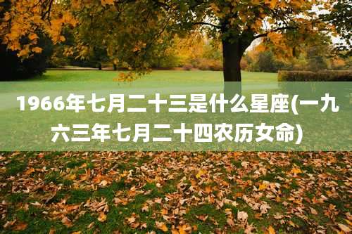 1966年七月二十三是什么星座(一九六三年七月二十四农历女命)