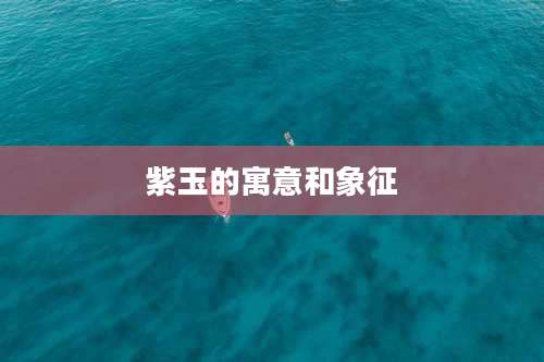 紫玉的寓意和象征