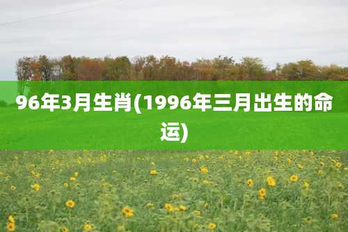 96年3月生肖(1996年三月出生的命运)