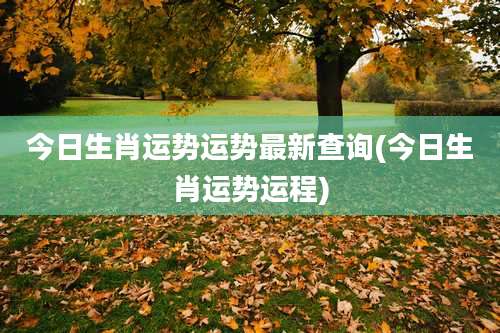 今日生肖运势运势最新查询(今日生肖运势运程)
