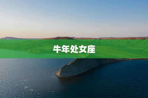 牛年处女座