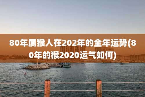 80年属猴人在202年的全年运势(80年的猴2020运气如何)