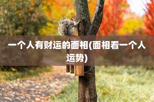 一个人有财运的面相(面相看一个人运势)
