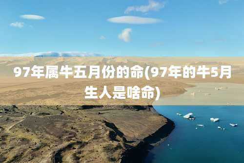 97年属牛五月份的命(97年的牛5月生人是啥命)
