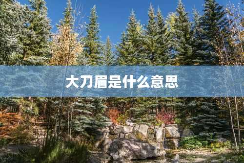 大刀眉是什么意思