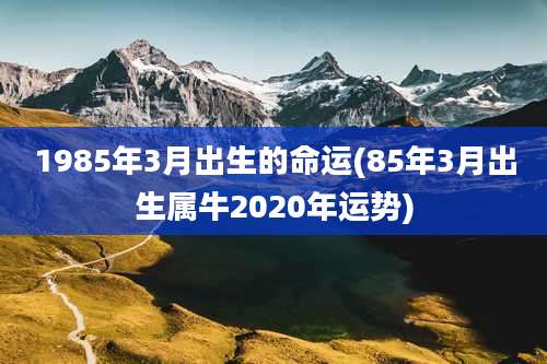 1985年3月出生的命运(85年3月出生属牛2020年运势)
