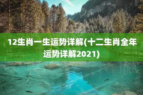 12生肖一生运势详解(十二生肖全年运势详解2021)