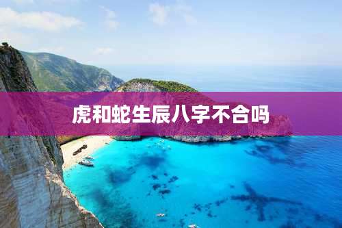 虎和蛇生辰八字不合吗