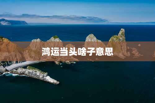 鸿运当头啥子意思