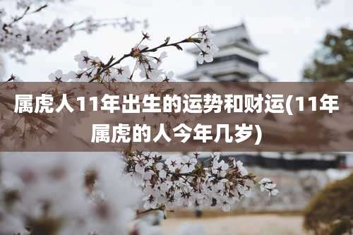 属虎人11年出生的运势和财运(11年属虎的人今年几岁)