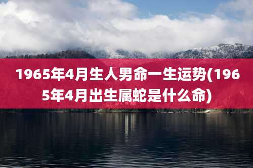 1965年4月生人男命一生运势(1965年4月出生属蛇是什么命)