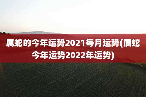 属蛇的今年运势2021每月运势(属蛇今年运势2022年运势)