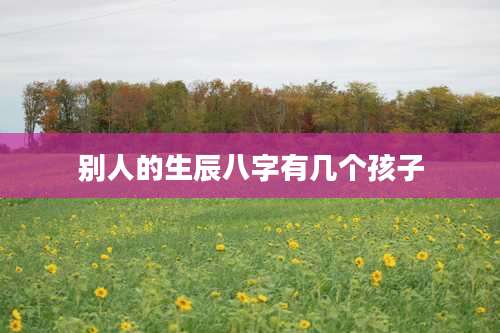 别人的生辰八字有几个孩子
