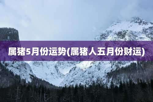 属猪5月份运势(属猪人五月份财运)