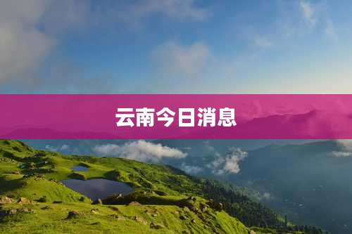 云南今日消息