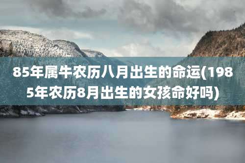85年属牛农历八月出生的命运(1985年农历8月出生的女孩命好吗)