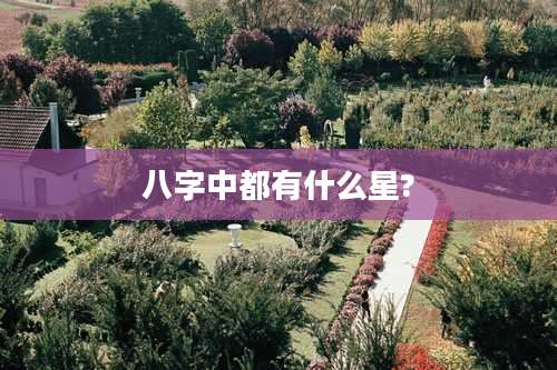 八字中都有什么星?