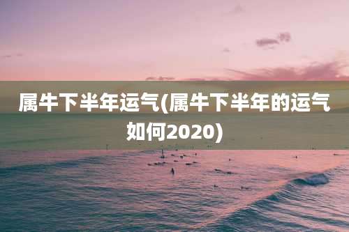 属牛下半年运气(属牛下半年的运气如何2020)