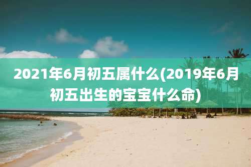 2021年6月初五属什么(2019年6月初五出生的宝宝什么命)