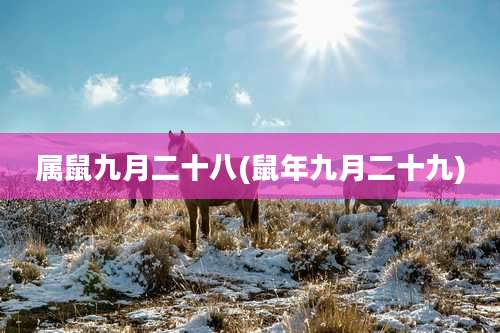 属鼠九月二十八(鼠年九月二十九)
