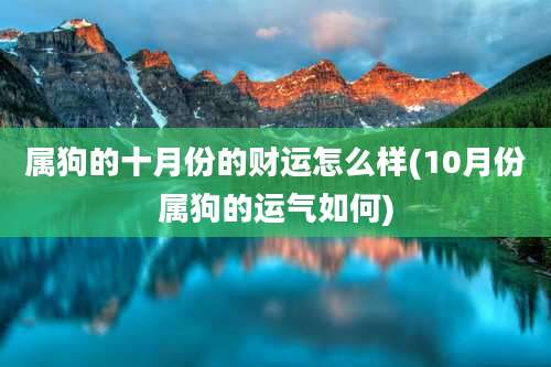 属狗的十月份的财运怎么样(10月份属狗的运气如何)