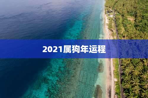 2021属狗年运程