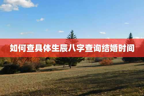 如何查具体生辰八字查询结婚时间