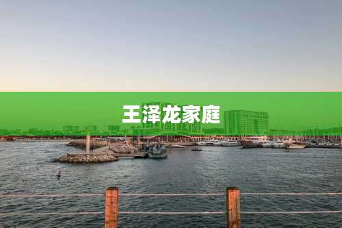 王泽龙家庭