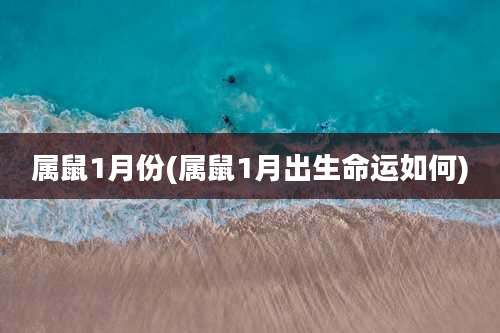 属鼠1月份(属鼠1月出生命运如何)