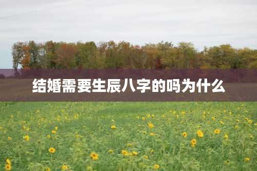 结婚需要生辰八字的吗为什么