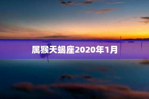 属猴天蝎座2020年1月