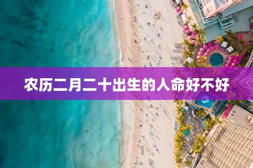 农历二月二十出生的人命好不好