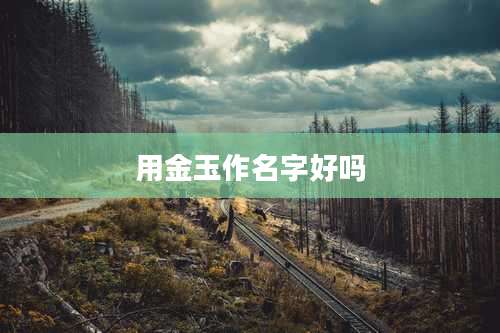 用金玉作名字好吗