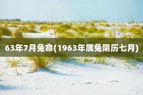 63年7月兔命(1963年属兔阴历七月)