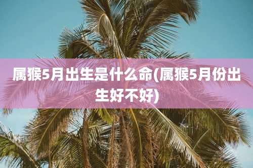 属猴5月出生是什么命(属猴5月份出生好不好)