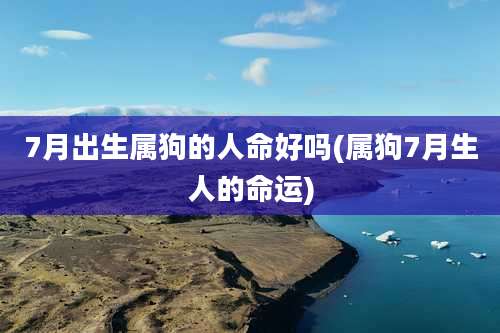 7月出生属狗的人命好吗(属狗7月生人的命运)