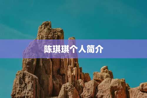 陈琪琪个人简介