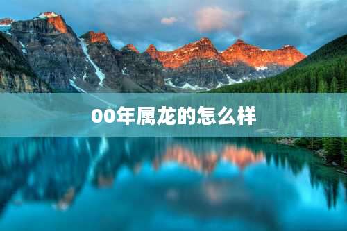 00年属龙的怎么样