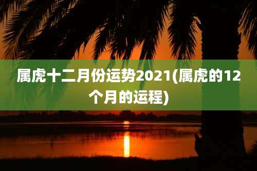 属虎十二月份运势2021(属虎的12个月的运程)