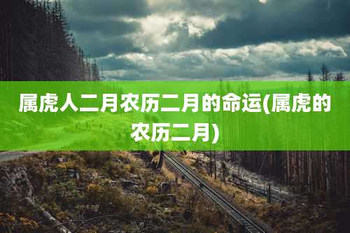 属虎人二月农历二月的命运(属虎的农历二月)