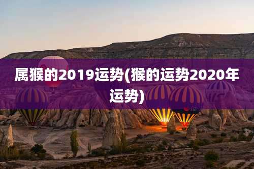 属猴的2019运势(猴的运势2020年运势)