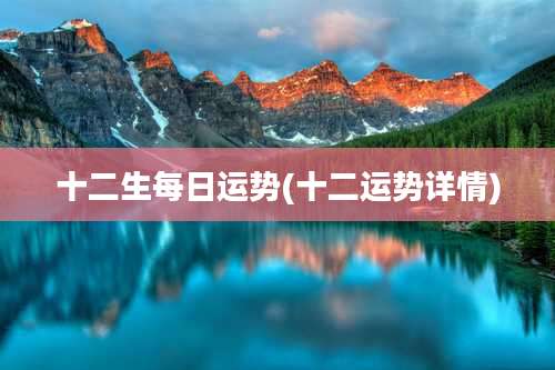 十二生每日运势(十二运势详情)