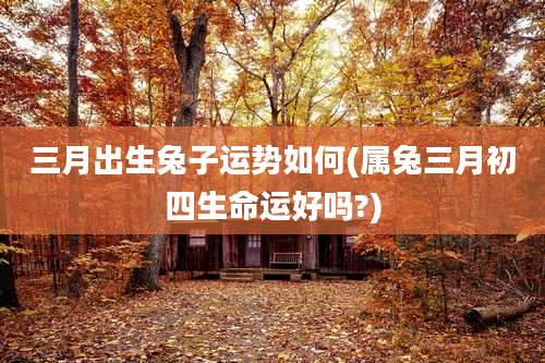三月出生兔子运势如何(属兔三月初四生命运好吗?)