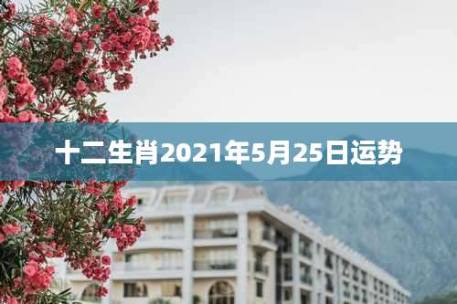 十二生肖2021年5月25日运势