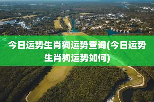 今日运势生肖狗运势查询(今日运势生肖狗运势如何)