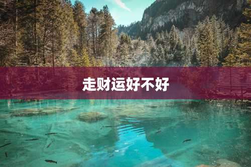 走财运好不好