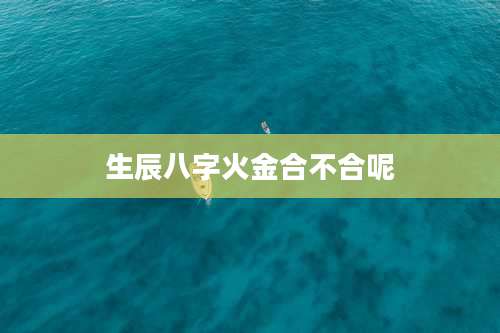 生辰八字火金合不合呢